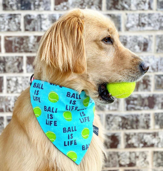 Ball Is Life Dog Bandana!